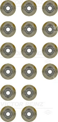 Seal Set, valve stem